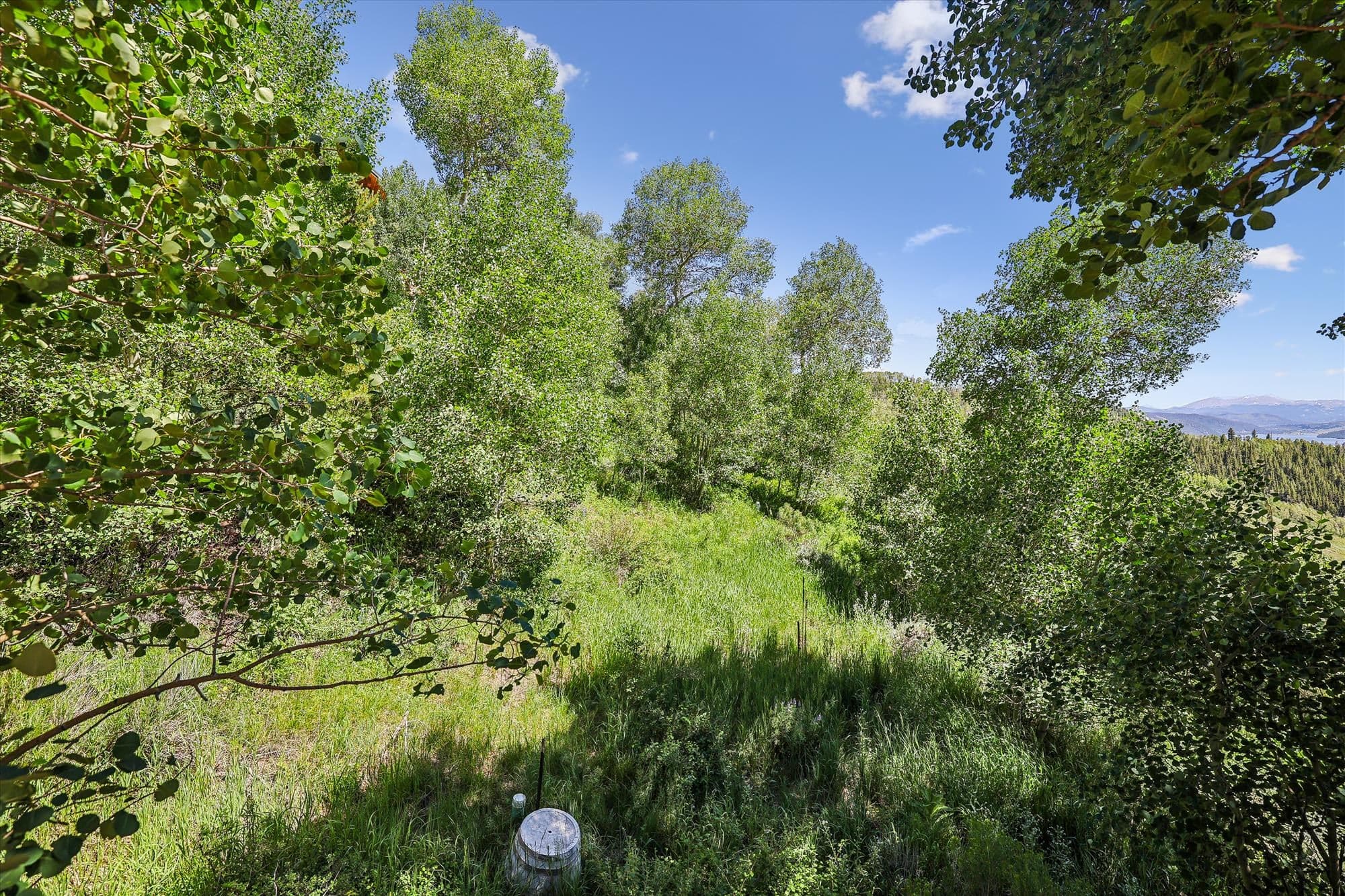 Exterior - Hamilton Creek Cabin - Silverthorne Vacation Rental