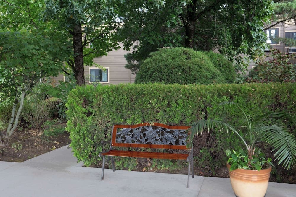 Primary image