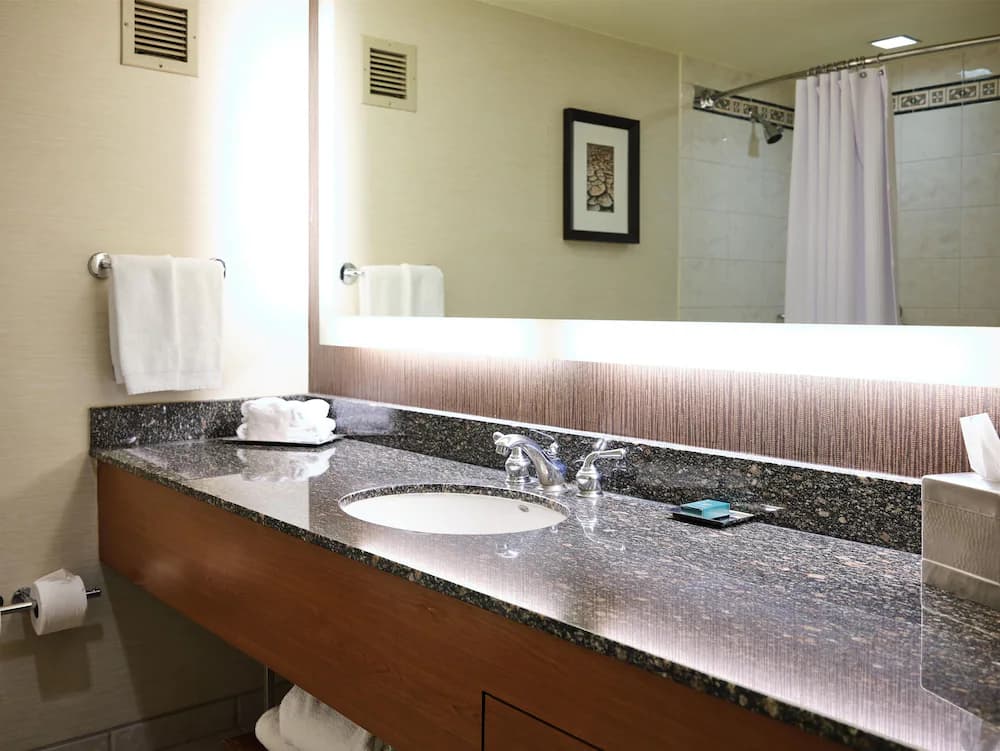 Bathroom shower
