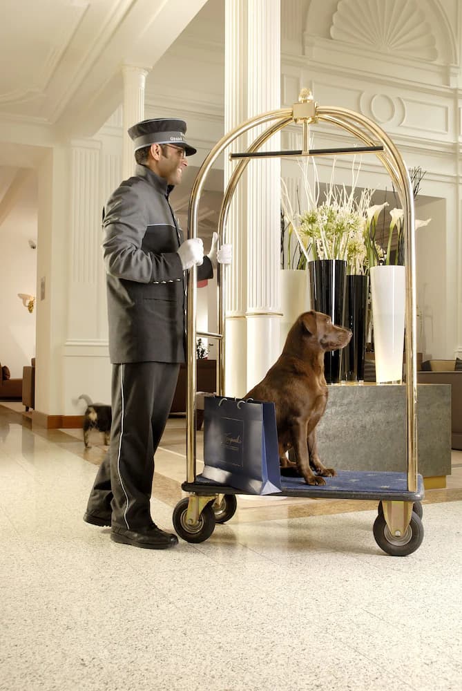 Pet-friendly