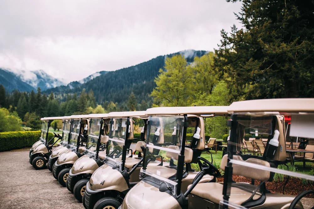 Golf cart