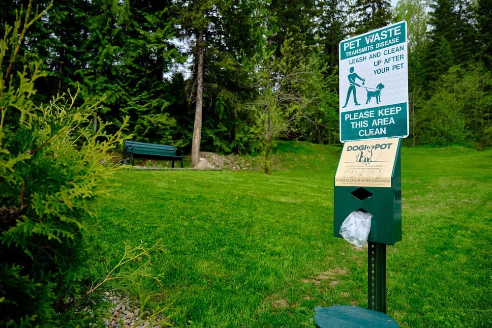 Pet-friendly