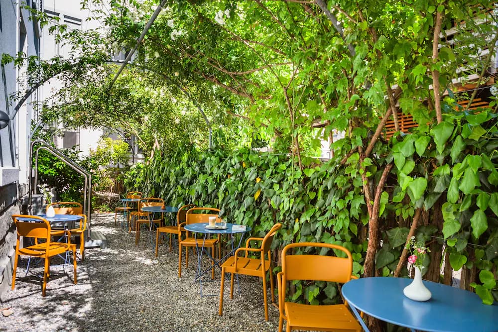 Garden