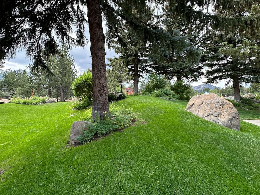 Property grounds