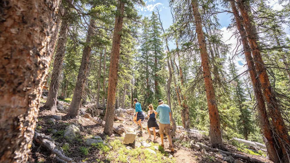 Hiking