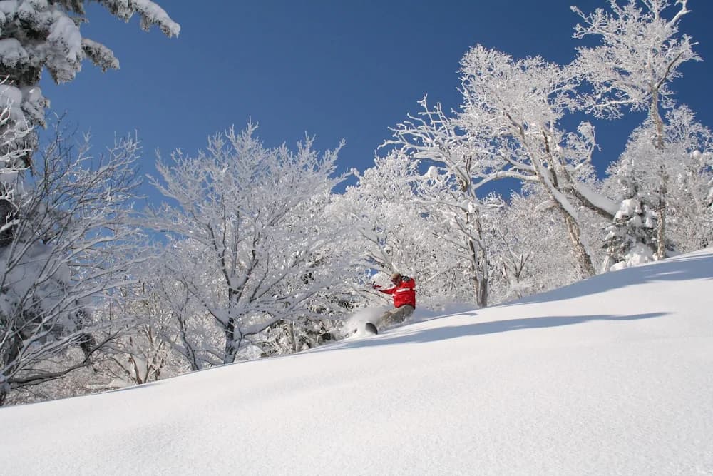 Snow and ski sports