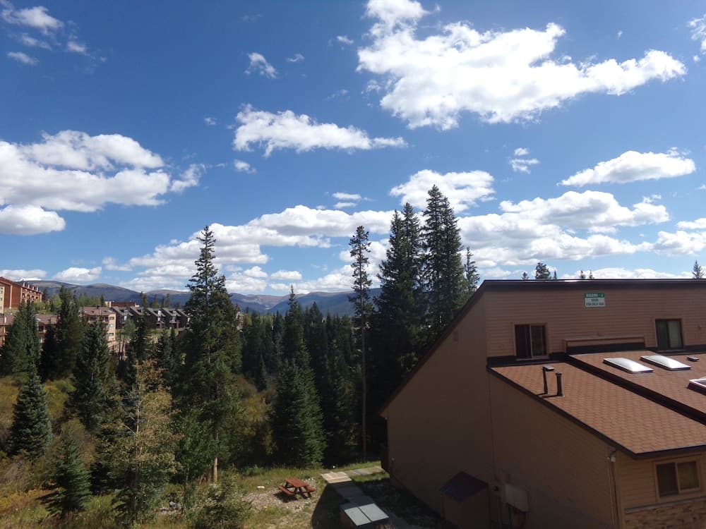 Primary image