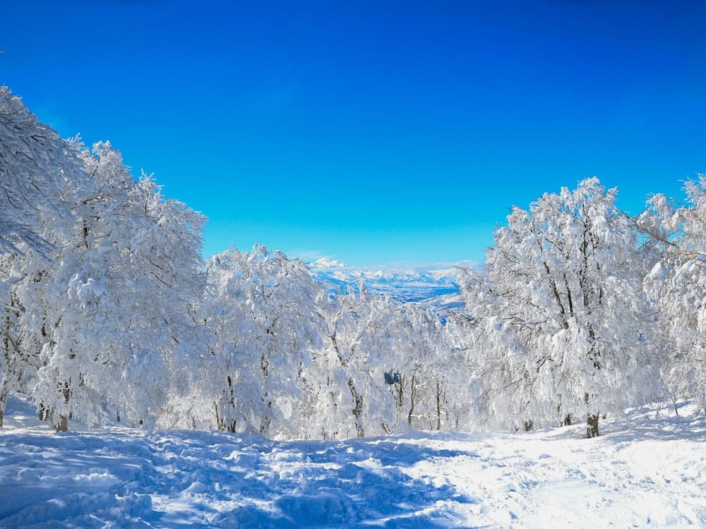 Snow and ski sports