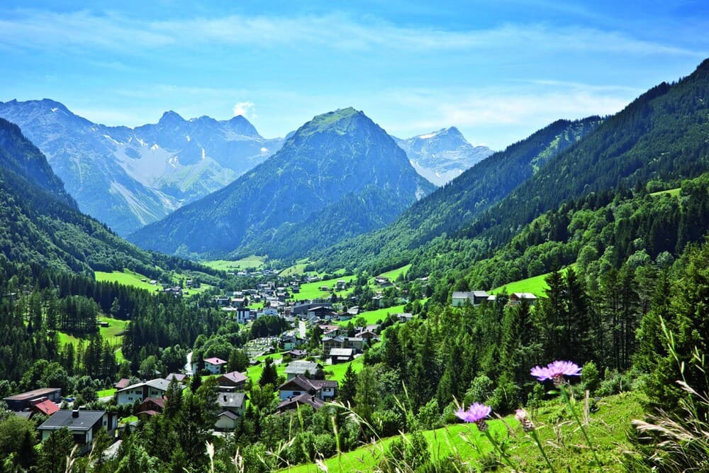 Mountain view
