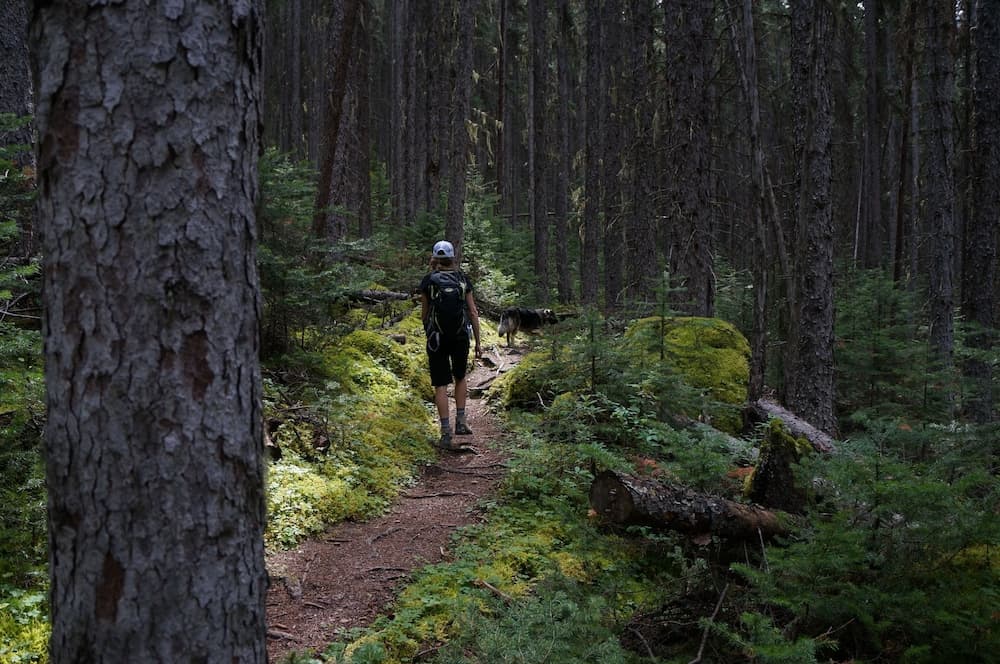 Hiking