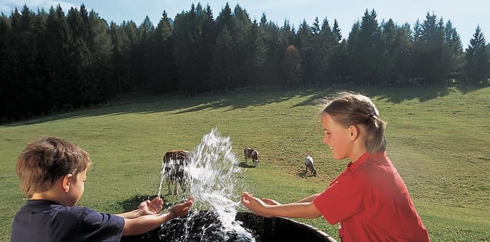 Mountain view