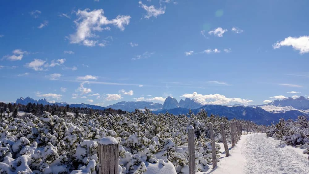 Snowshoeing