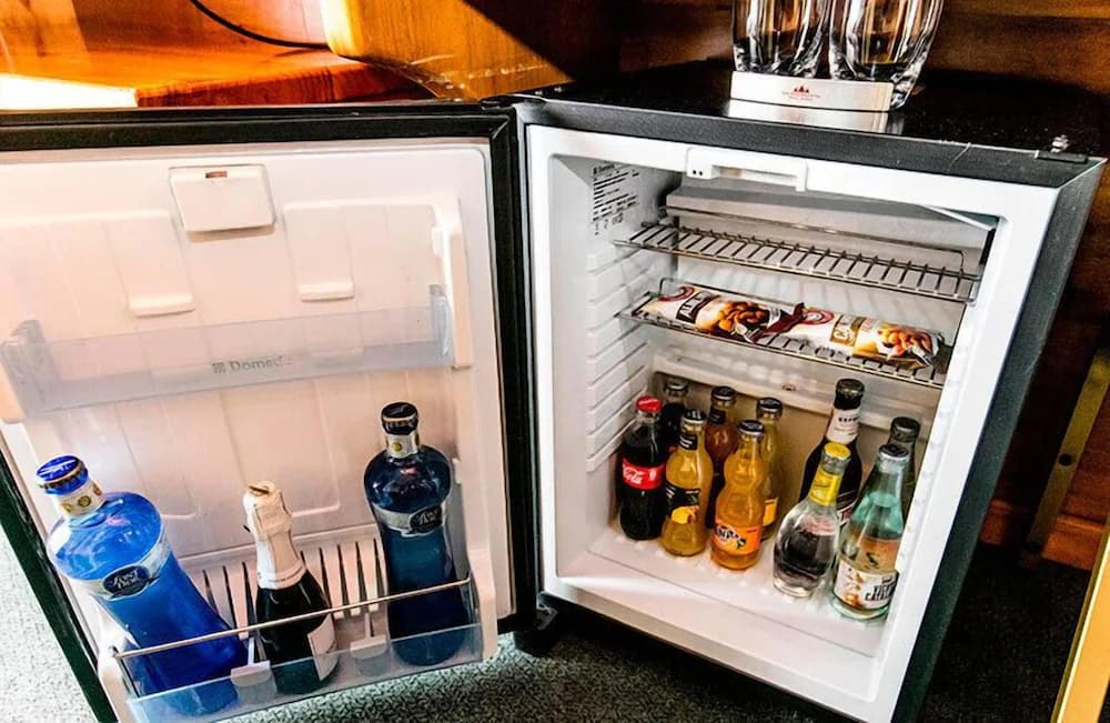 Mini-refrigerator