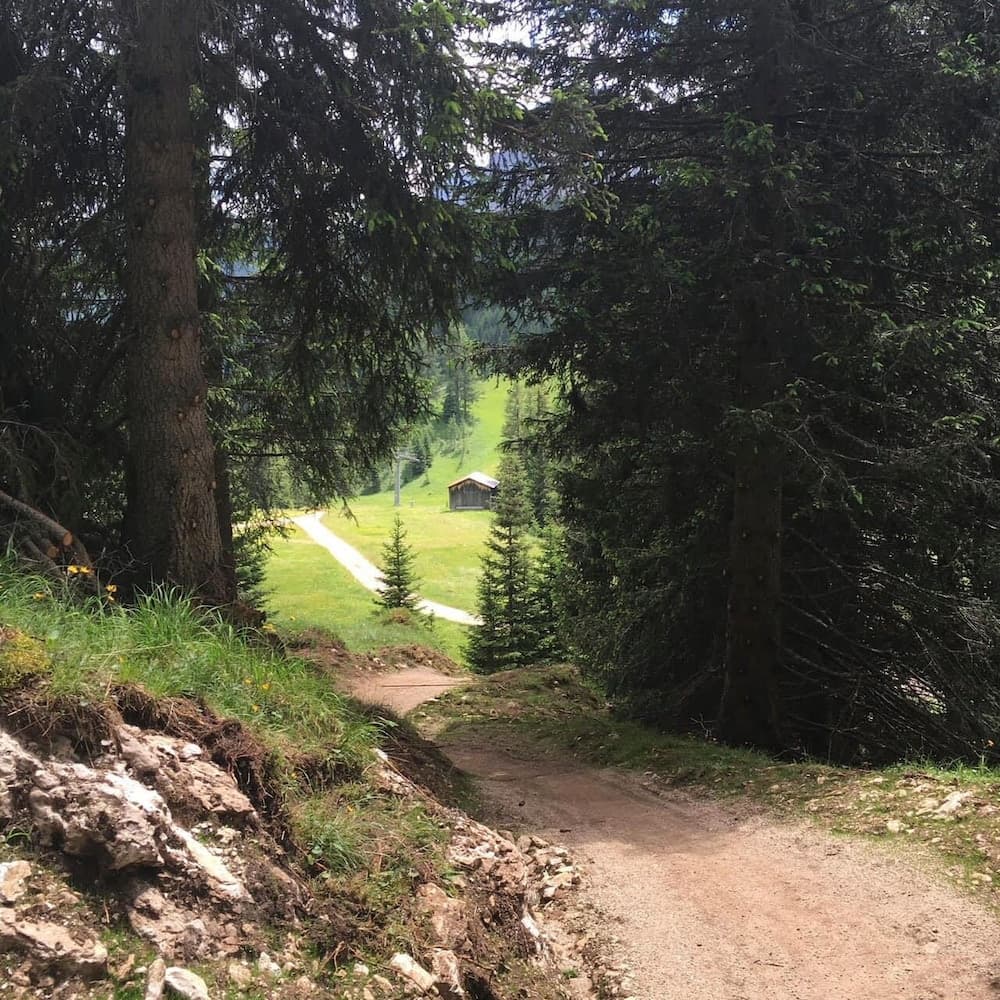 Bicycling