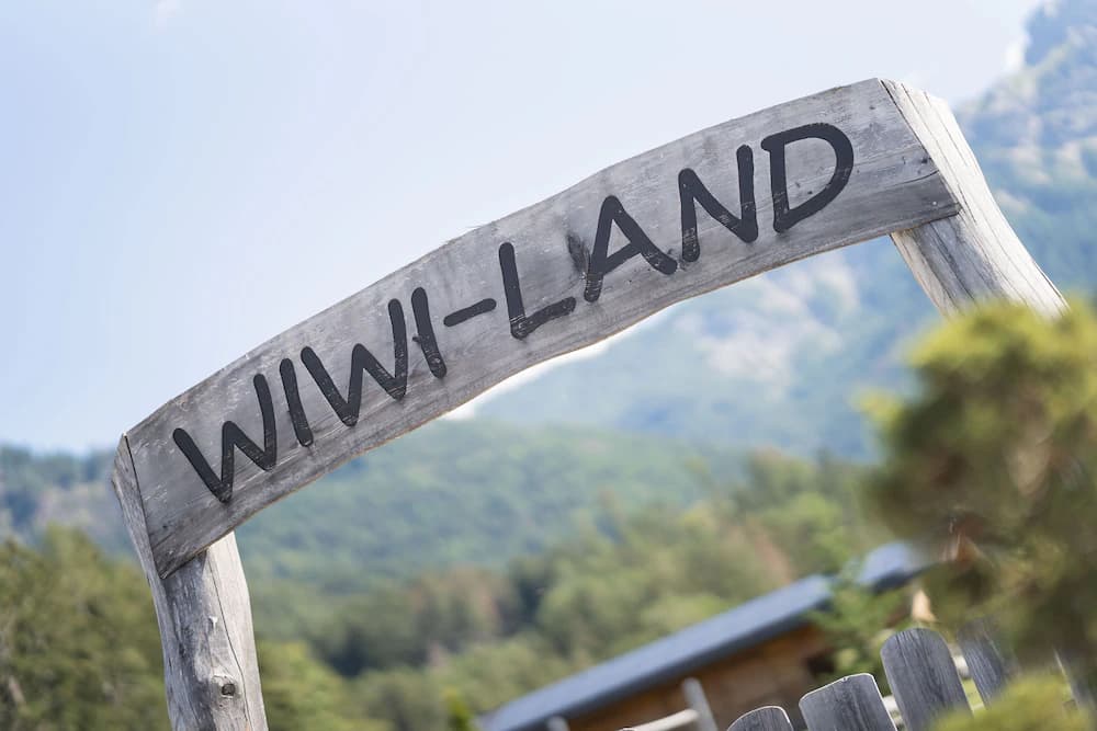 Children's play area - outdoor